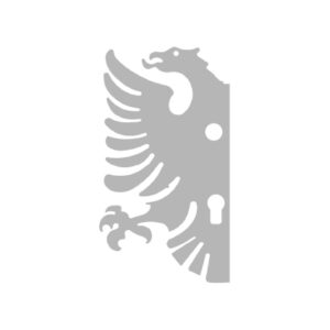 Шилд с дупка